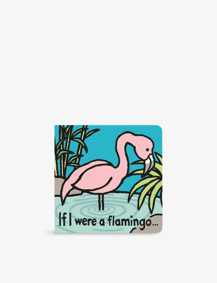 If I Were A Flamingo book